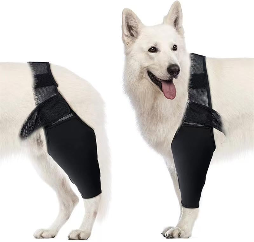 Dog Elbow Protector, Dog Elbow Brace Protector Pads for Canine Elbow and Shoulder Support, Dog Knee Leg Sleeve for Dysplasia, Arthritis, Pressure Sores, Shoulder Dislocation (L, Black)