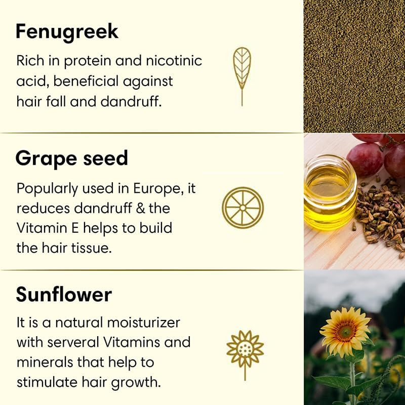 THE EARTH COLLECTIVE Anti-Dandruff Hair Oil, Contains Fenugreek, Grape Seed Sunflower, Controls and Prevents Dandruff, Relieves Itchiness, 200 Ml image number 6