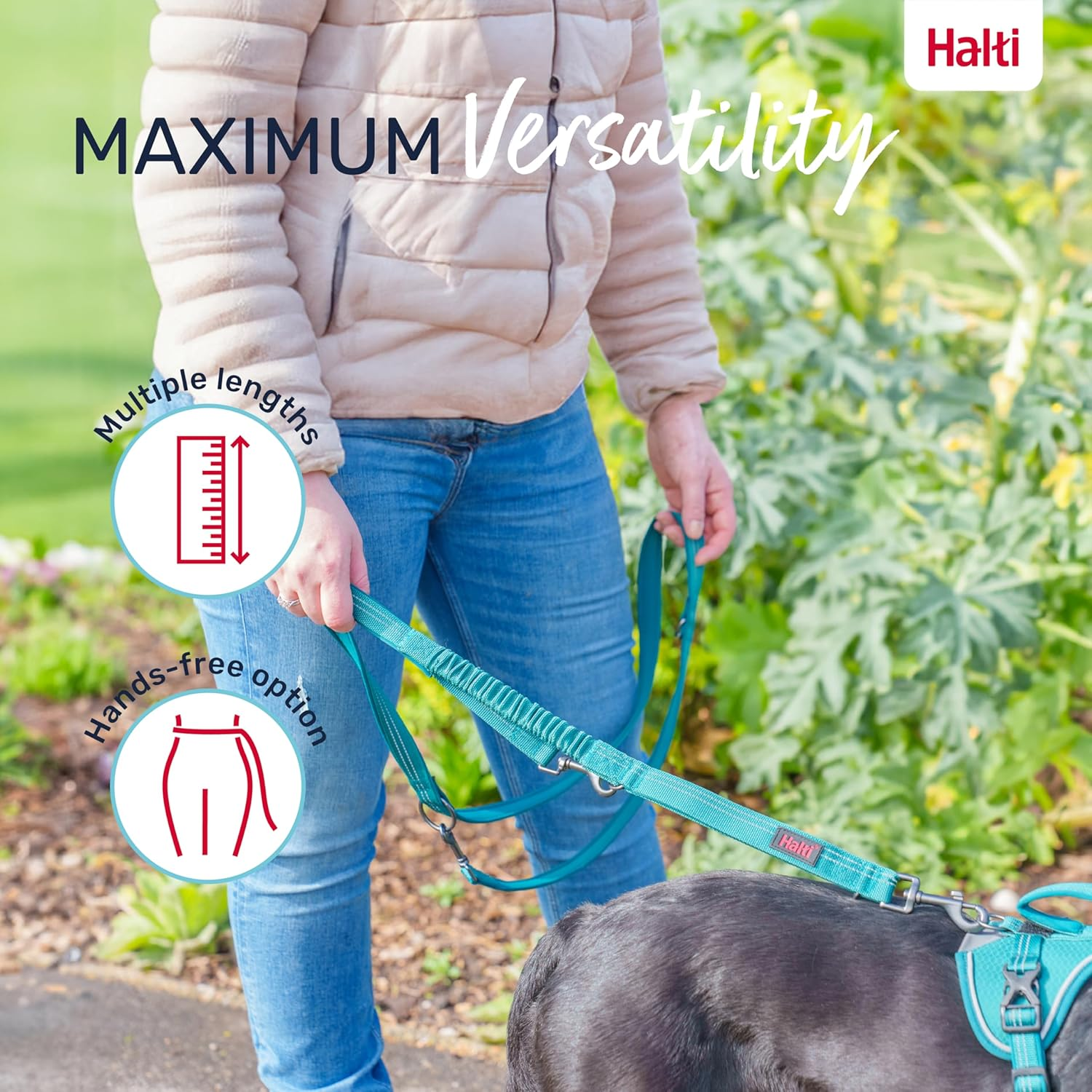 HALTI Anatomy Multifunctional Dog Lead &ndash; Shock Absorbing Double-Ended Lead, Ideal for Dog Walking & Training. Comfortable to Hold, Reflective & Lightweight. Suitable for Puppies (Size Large, Green) image number 4