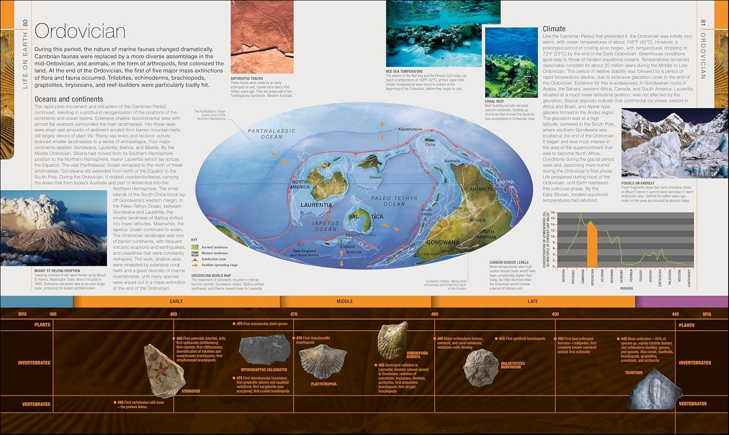 Dinosaurs and Prehistoric Life: the Definitive Visual Guide to Prehistoric Animals image number 4