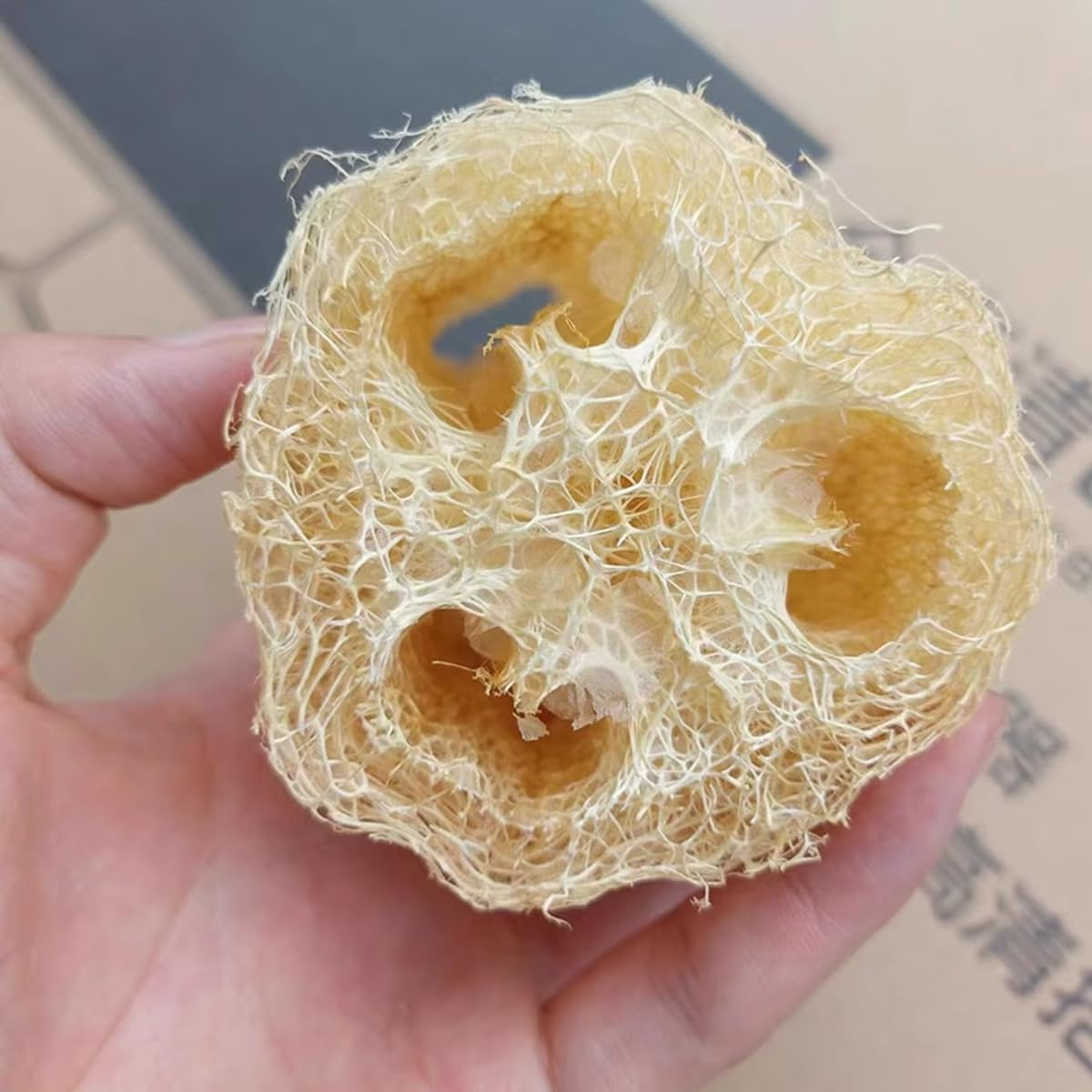 AIMALL 5-Pack Natural Loofah Sponges, Multi-Use Body and Kitchen Cleaning Loofahs, Quick-Dry & Eco-Friendly, Length 7.87-11.42 Inches, Breathable and Bacteria Resistant image number 3