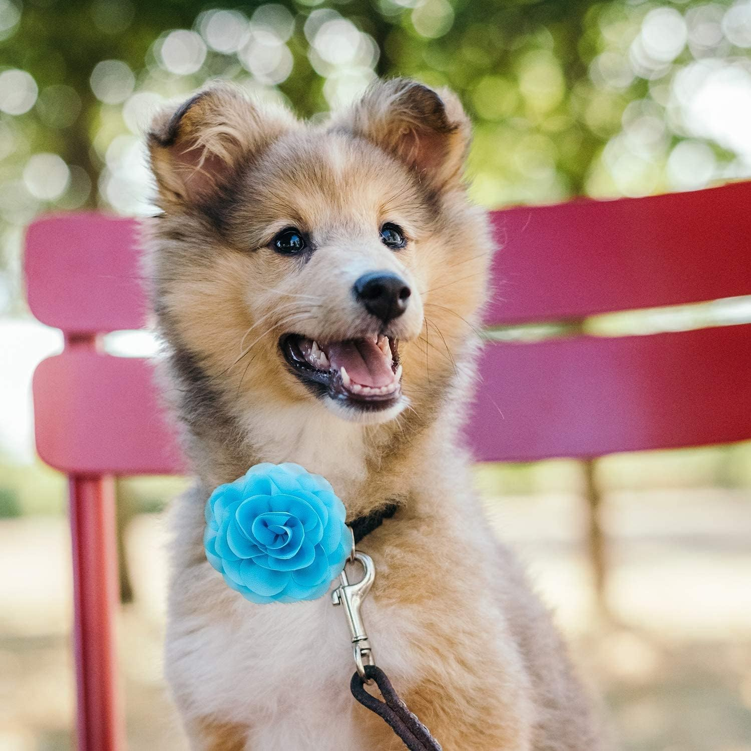 LUTER Pet Collar Flowers Multicolored Dog Flower Tie&Bow Floral Collar Charms Accessories, Detachable Flower Embellishment for Cats, Dogs, Pets Supplies image number 2