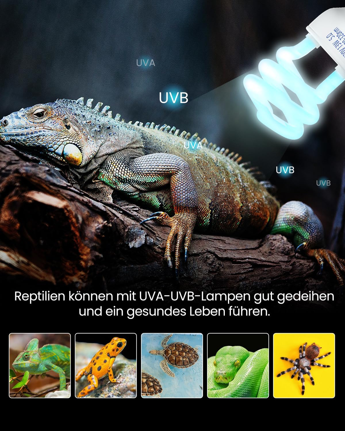 Doright 5.0 13 W UVB Lamp, E27 Reptile Compact UVA UVB Lamp Terrarium, AC 220-240 V Animals Fluorescent Lamp for Lizard Chameleon Leopard Gecko Vivarium Turtle Tank Pack of 1 image number 1