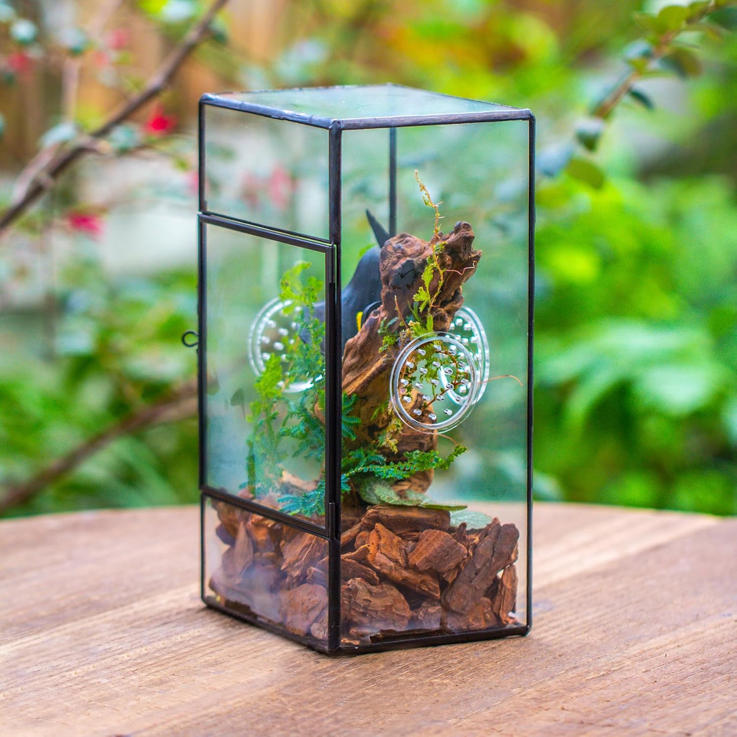 NCYP Glass Enclosure for Large Jumping Spider - 5.1" X 3.9" X 9" Front Opening Door Glass Plants Terrarium with 3 Vent Holes, Small Rectangle Insects Habitat, Black (Terrarium Only)