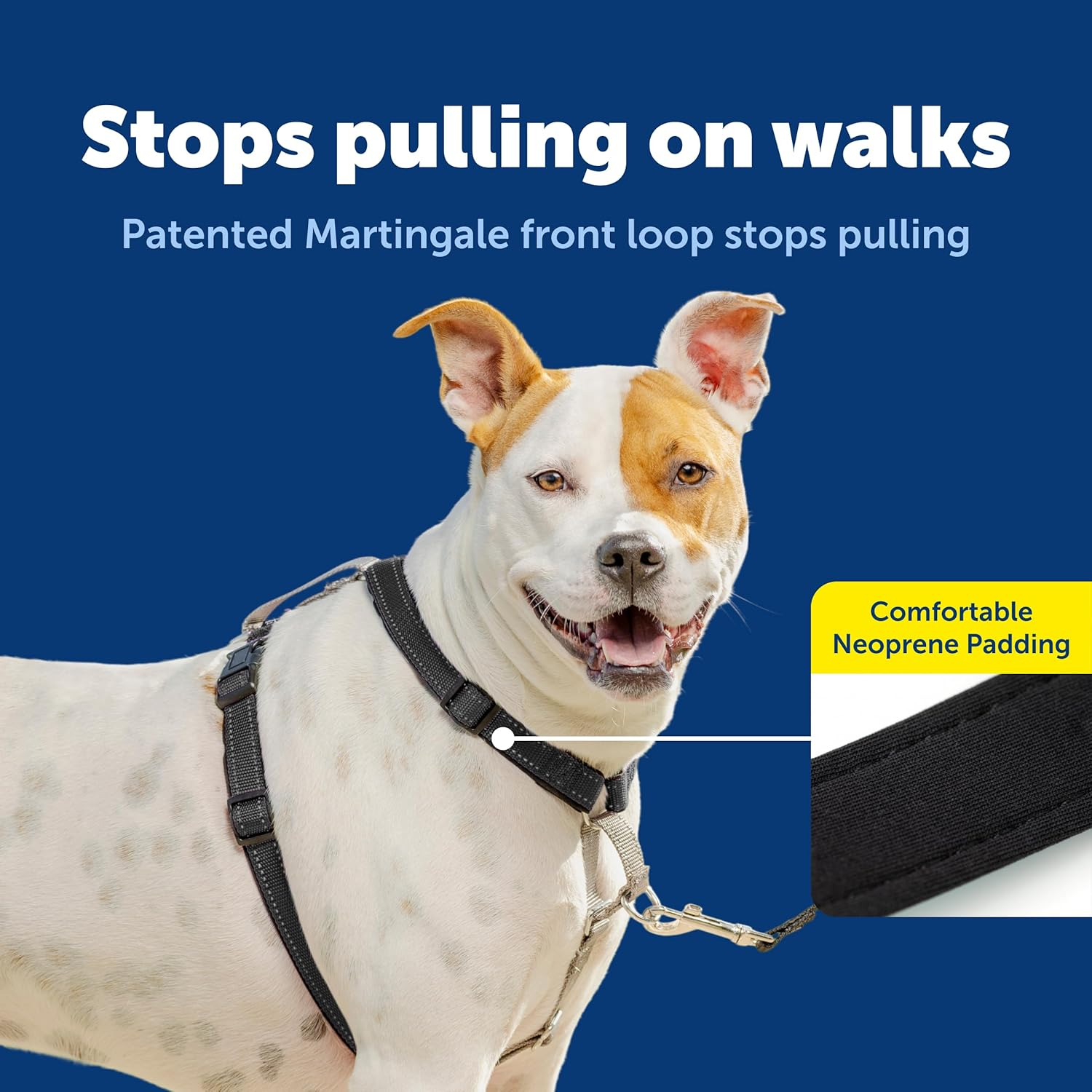 Petsafe 3 in 1 Dog Harness - No Pull Solution for Dogs - Reflective Dog Harness - Front D-Ring Clip Helps Stop Pulling - Comfortable Padded Straps - Top Handle Enhances Control - Black - Medium image number 4