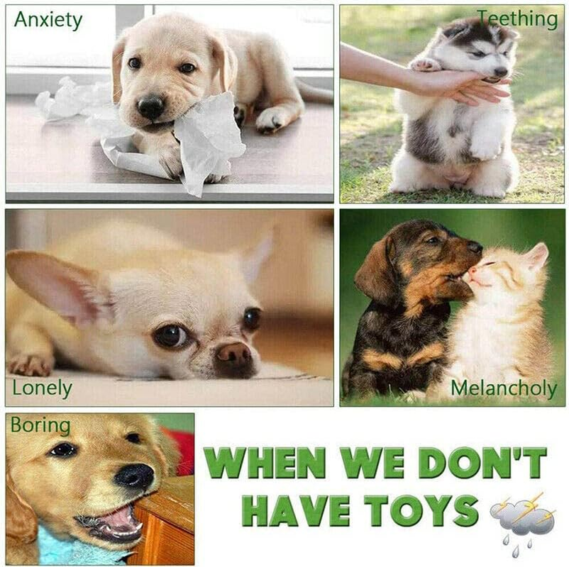 AIMALL 10 Pack Dog Braided Rope Toys for Chewing & Training - Durable Interactive Cotton Toys for Puppy Teething, Dental Care & Bite Relief - Safe Pet Play Set image number 4