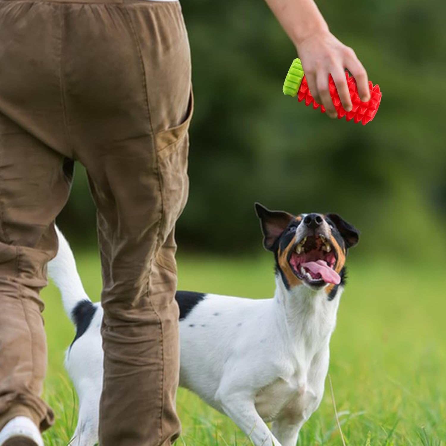 Joyfia Dog Interactive Chew Toy, Food & Treat Dispensing, Fun to Chew, Chase & Fetch, IQ Mental Stimulation & Enrichment, Boredom Buster for Small Medium & Large Breeds, Rubber Teething Dog Toys image number 5