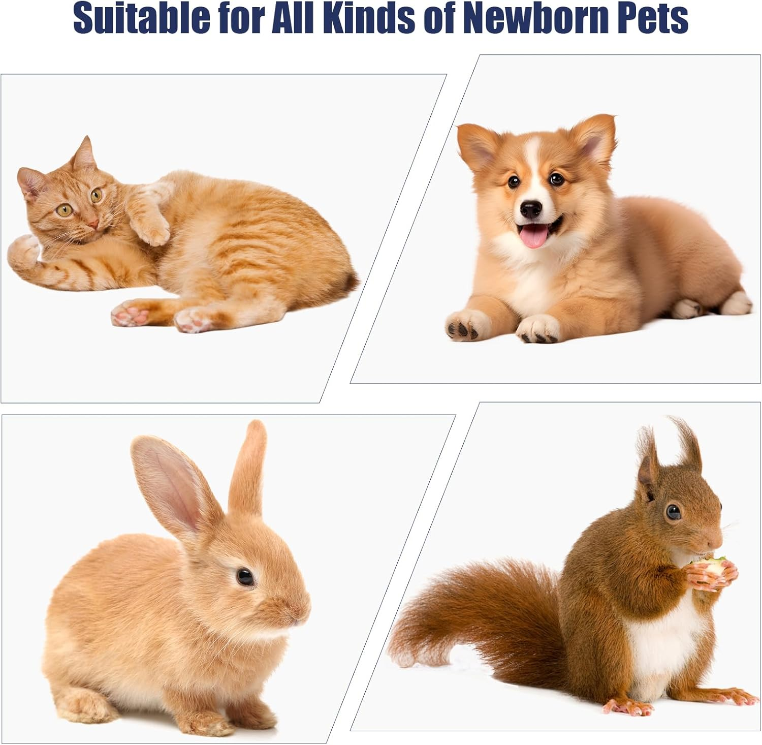 REDDOUDOU Newborn Puppy Kitten Small Animal Sterile Mucus Extractor Suction Catheter, Animal Kid Puppy Kitten Tube Feeding Kit 8 FR Red Feeding Tubes with 20Ml Syringes and Bulb Aspirator image number 4