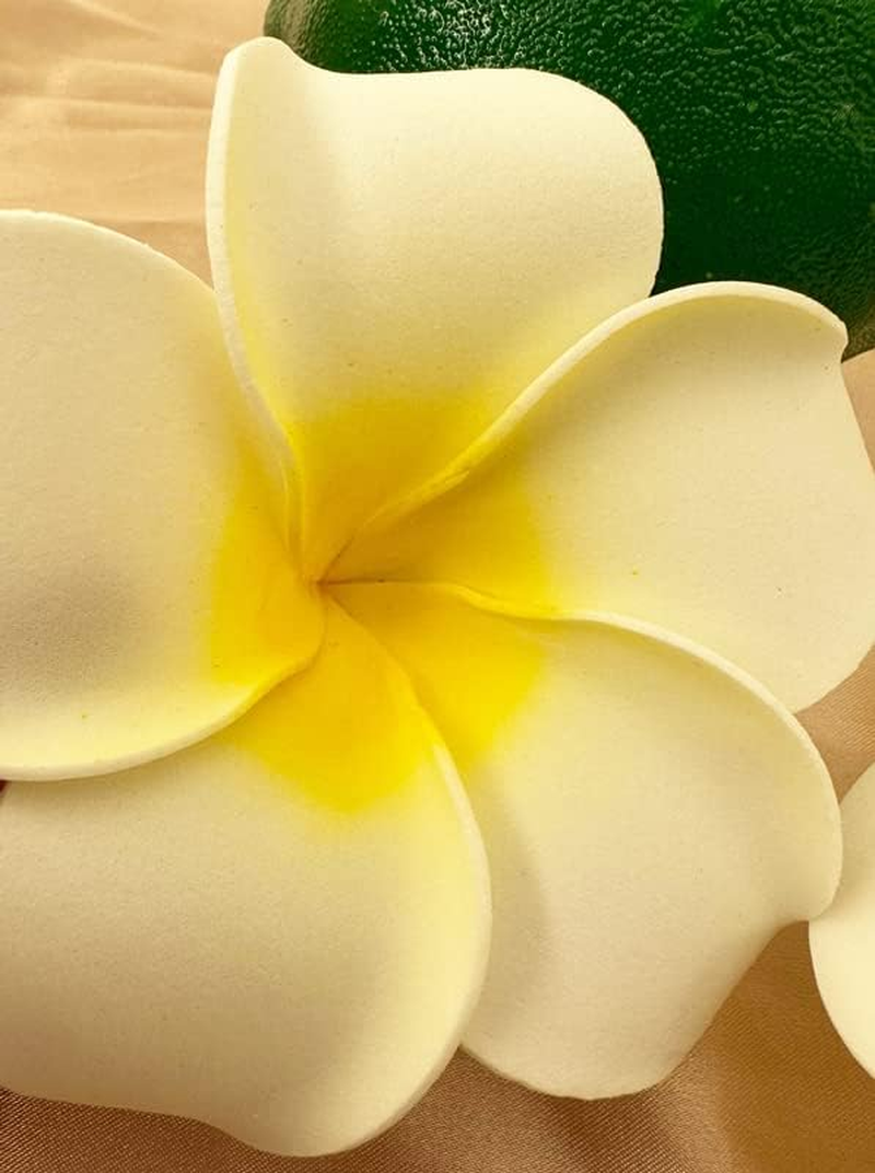 Hawaiian Plumeria Flower Hair Clips for Women White Flower Hair Clip Barrettes for Girls Hawaiian Accessories for Beach Party Travel image number 3