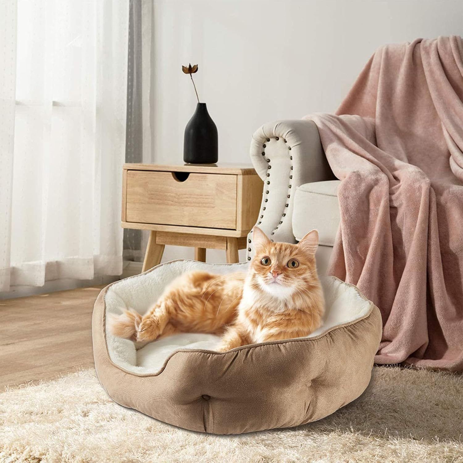 Small Dog Bed & Cat Bed - Soft round Pet Bed for Puppies & Kittens, Non-Slip Bottom, Orthopedic Support, Plush Fleece, Indoor Comfort for Small Pets image number 1