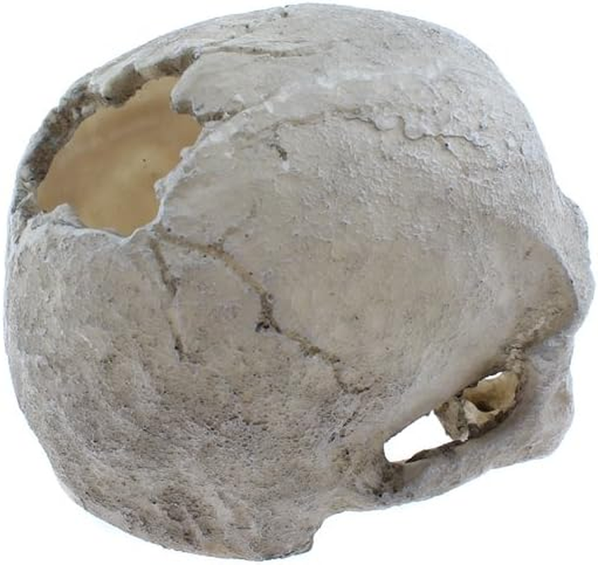 Emours Reptile Hideout Skull Vivarium Aquarium Fish Tank Resin Ornament Cave Decoration image number 3