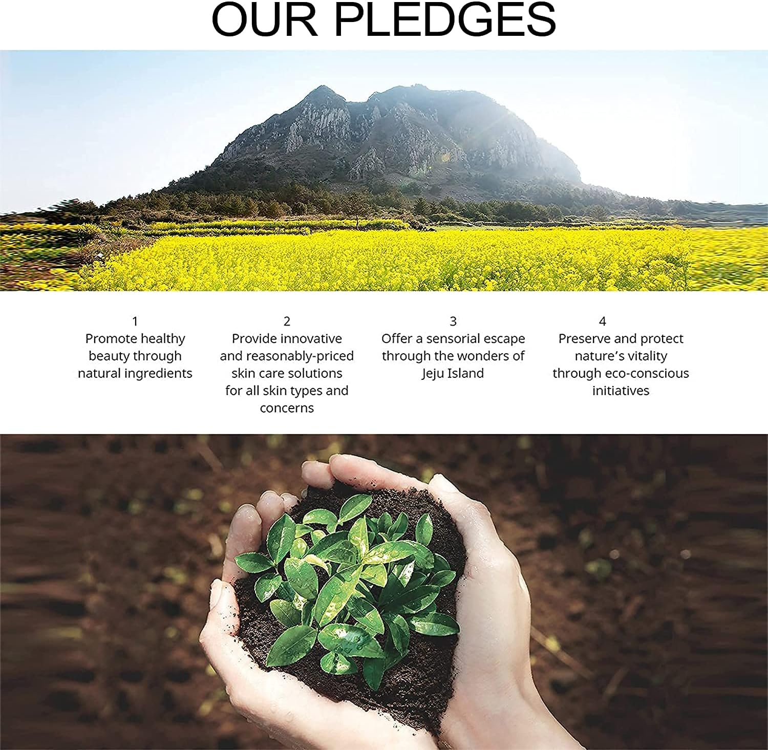 Innisfree Perfect 9 Repair Cream 60Ml/2.03 Oz image number 4