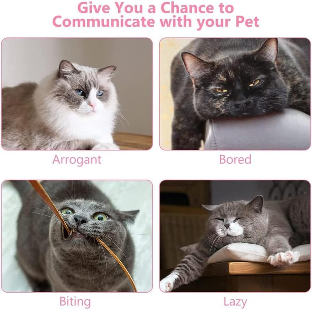 Mumoo Bear Cat Dog Red Pointer Light Toy, 7 in 1 Paw Style Cat Toys Cat Dog Interactive Toy, USB Rechargeable LED Cat Pen Light, Pet Scratching Practice Chase Training Tool (Black) - White image number 2