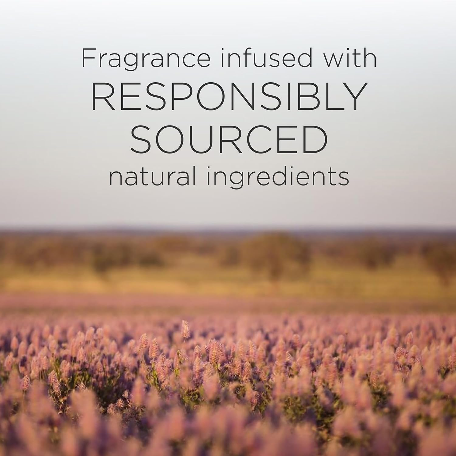 Botanica by Air Wick Vanilla & Himalayan Magnolia Plug-In Twin Refill 2 X 22Ml (Packaging May Vary) image number 5