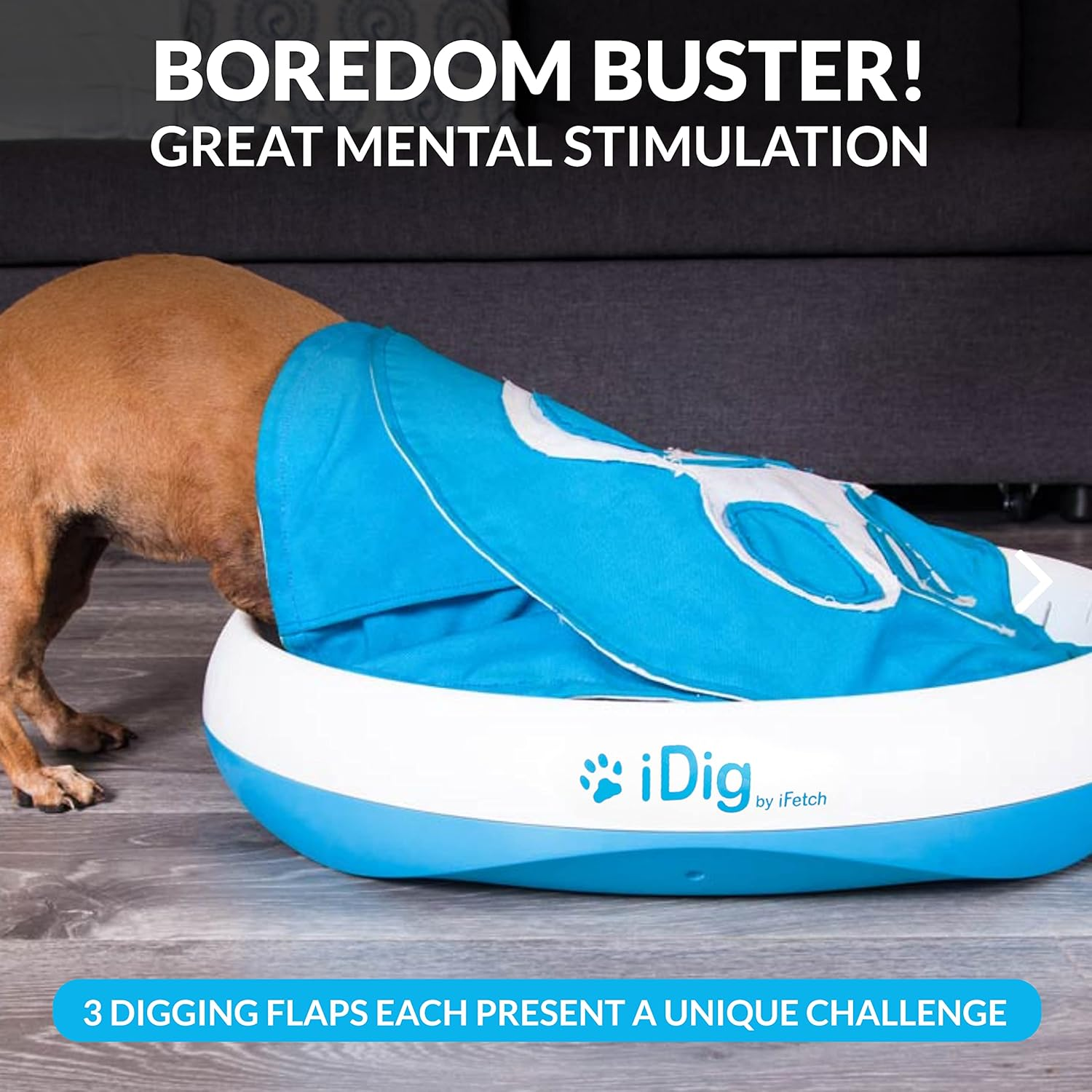 Ifetch Digging Toy for Dogs, Blue/White