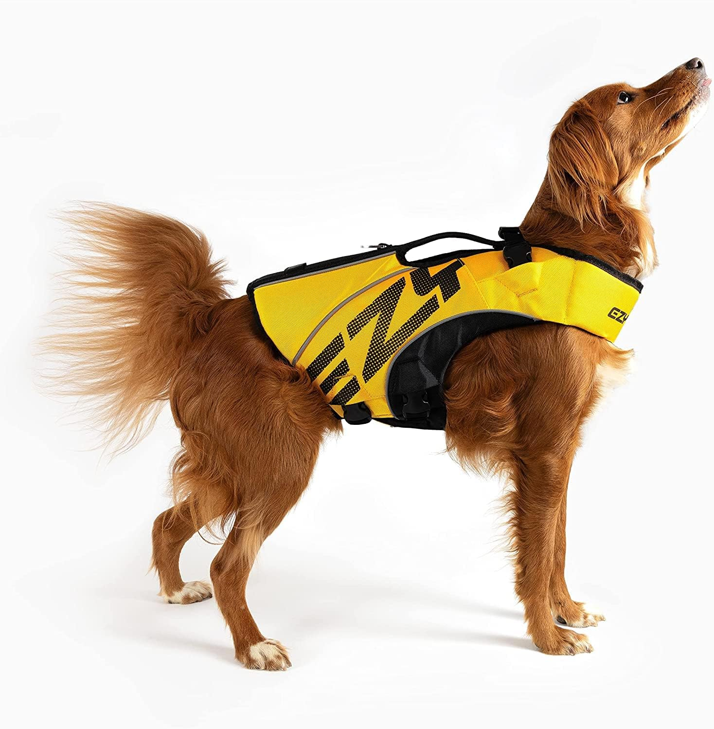 Ezydog DFD X2 Boost - Dog Life Jacket, Premium Float Vest for Dogs, Streamline, Ergonomic Swimming Aid, Reflective, Easy to Fit, Fits All Dog Breeds (S, Yellow) image number 2