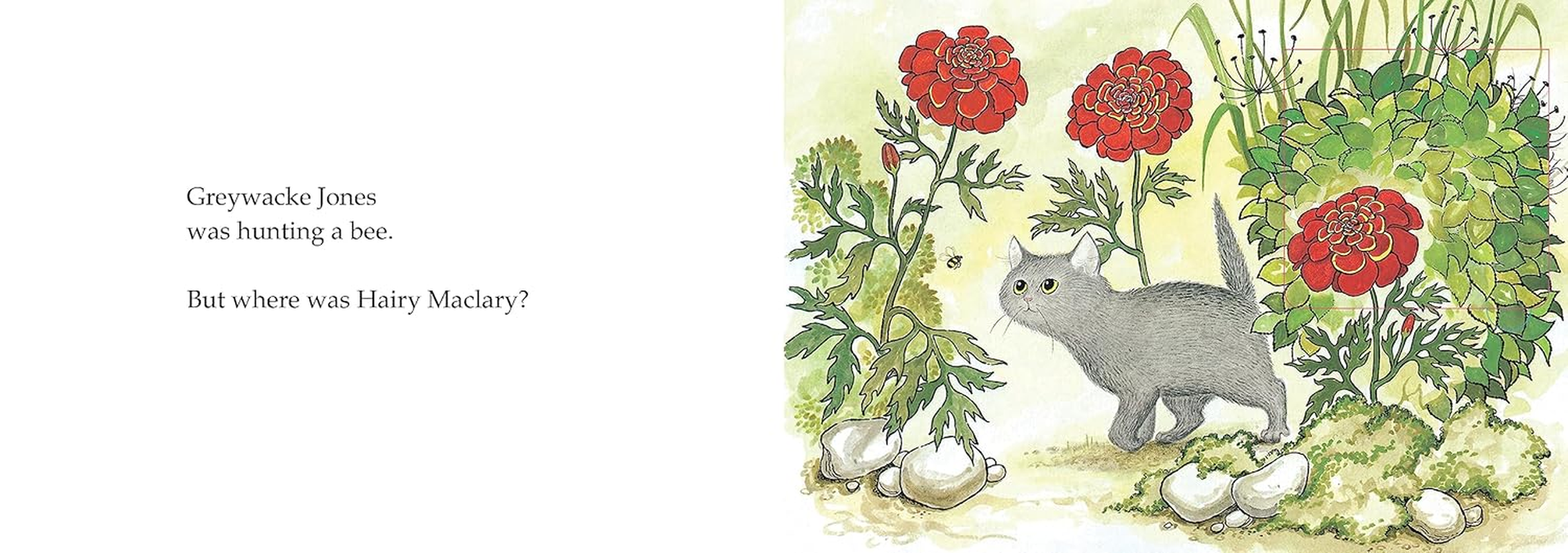 Hairy Maclary, Hide and Seek: a Lift the Flap Book image number 2