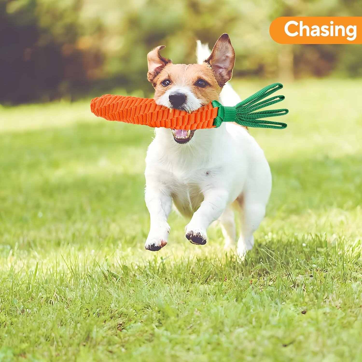 LIFLIX Dog Rope Toy, Tug of War Dog Toy, Cute Carrot Dog Toy with Crinkle Paper Tags, Carrot Shape image number 4