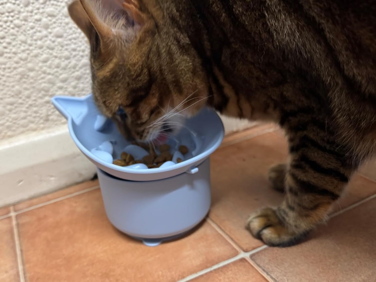 Elevated Cat Bowls Raised Cat Bowls for Food and Water, Slow Feeder Cat Food Dish Whisker Friendly, anti Vomit Cat Bowls Microwave and Dishwasher Safe, Great Height for Cat (Pink, 9.6X9.6X10Cm) image number 3