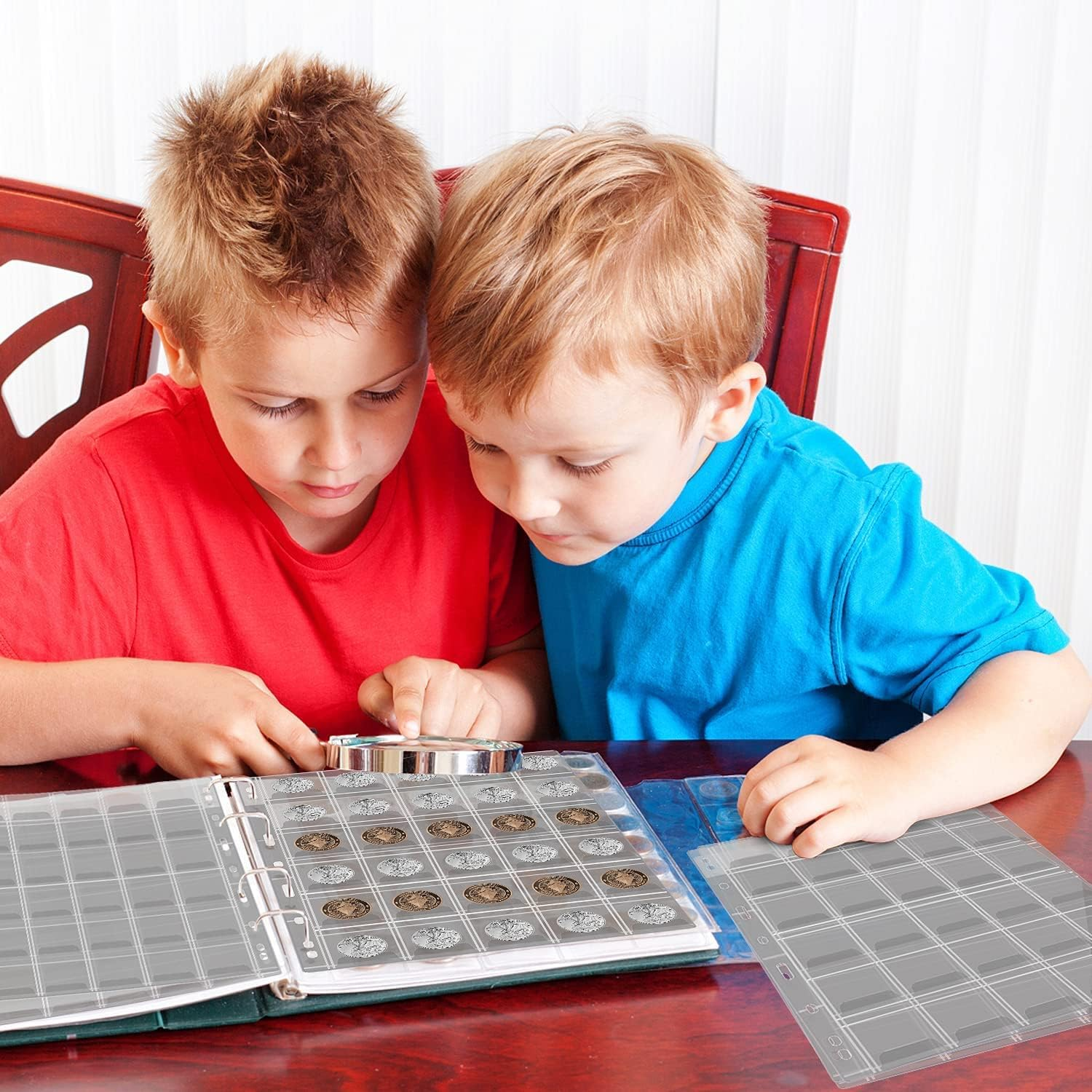 15 Sheets 4.3X4.3Cm Coin Collection Pages, Coins Pocket Page with 300 Pockets, Coin Binder Inserts Sleeves with Standard 9 Hole for Coin Album