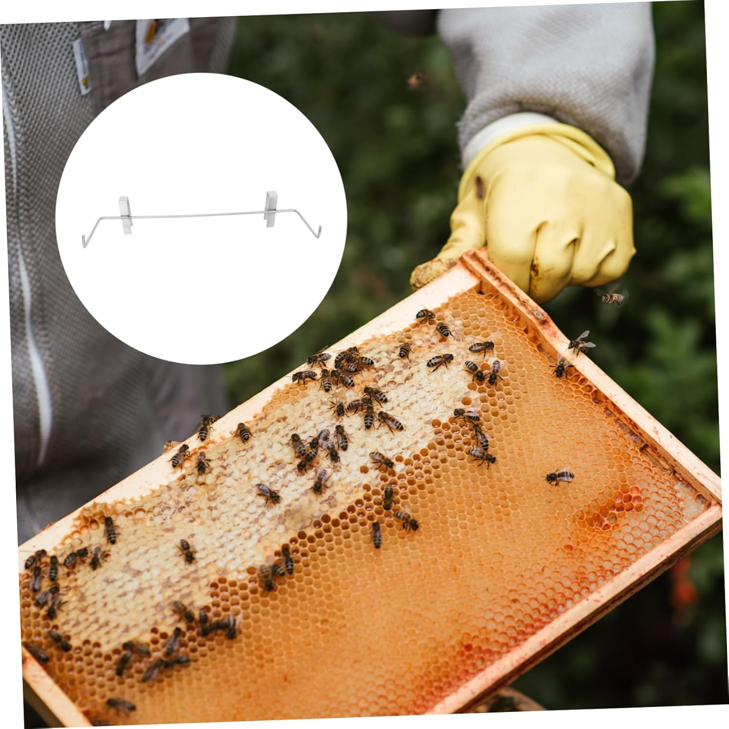 Sosoport Stainless Beehive Stand Beekeeping Holder for Household Replaceable Bracket Compact Beekeeping Shelf image number 4