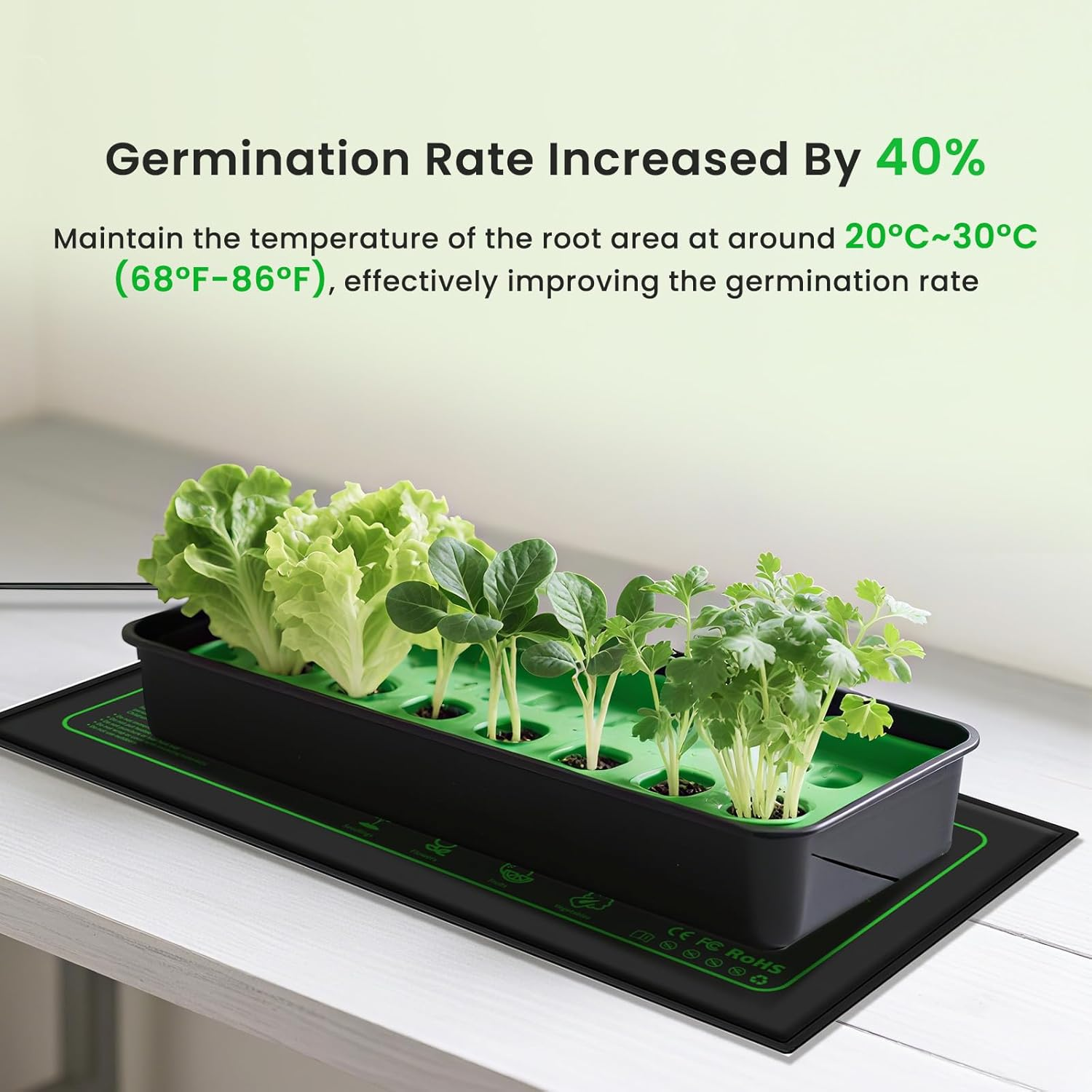 Tobebright Seedling Heat Mats with Thermostat Digital, 20W Waterproof Heating Pads 52.7X25.4 Cm (10" X 20.5"), Plant Heating Mat for Seed Germination Greenhouse Propagation Hydroponic Reptile Warmer image number 5