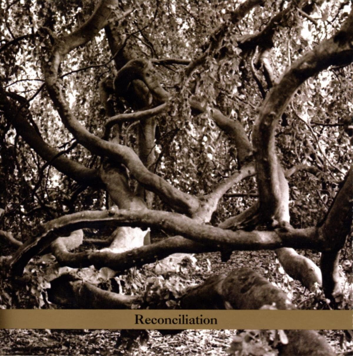 Reconciliation Reconciliation image number 1