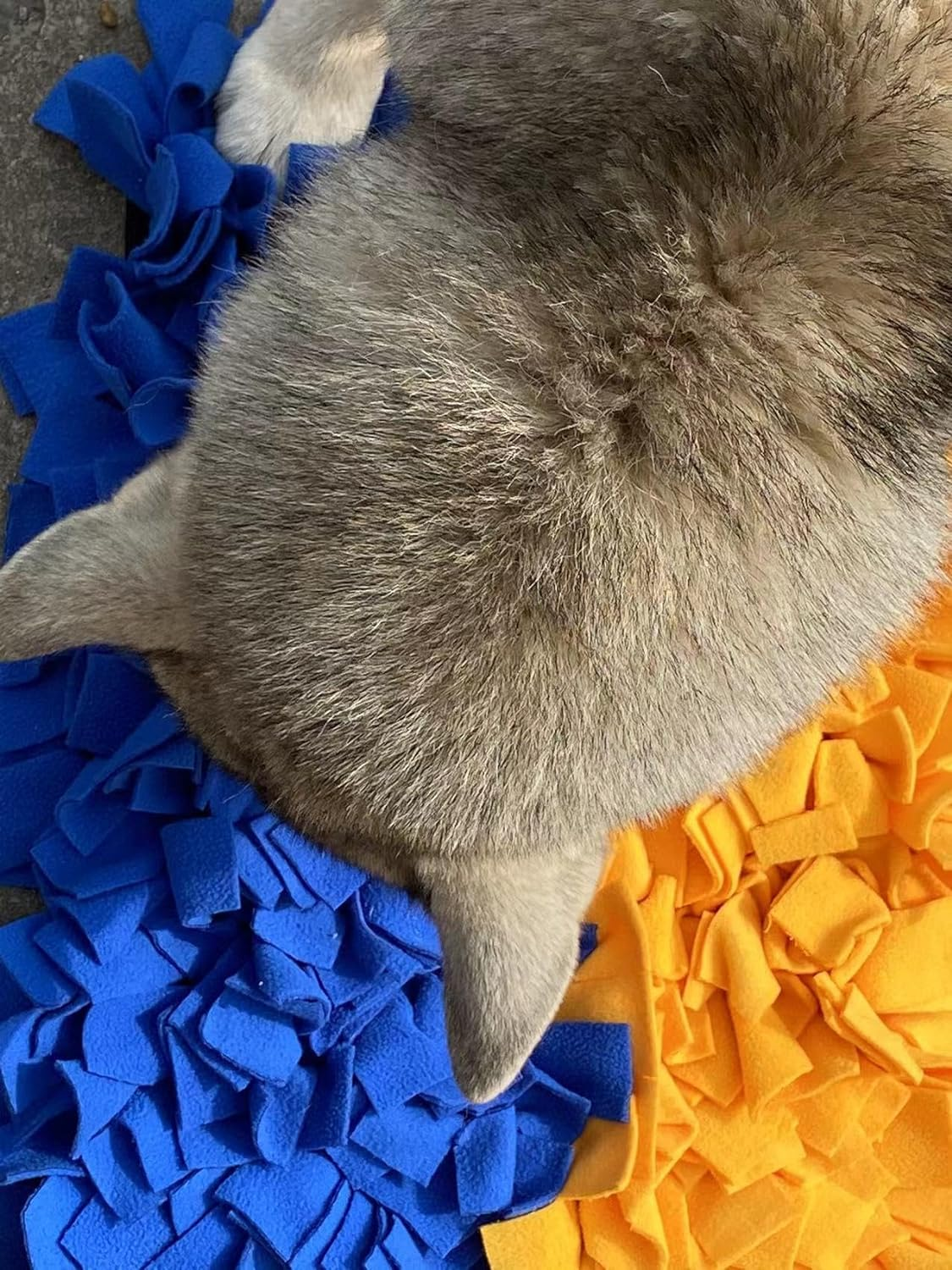 Thick Tough Slow Feeding Mat for Large Breed Dogs, 45X60Cm Blue and Yellow Color Sniffing Mat image number 4