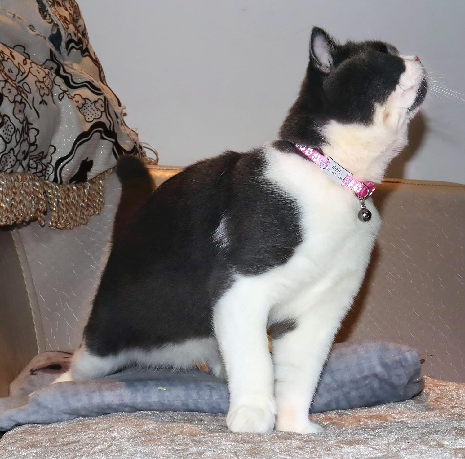 THAIN Personalized Cat Collar with Name Tag Engraved Custom Cat Id Tag Slide-On Reflective Cat Collar Breakaway with Bell for Girls & Boys,2 Pack(Paw Print Pink+Paw Print Pink) image number 1