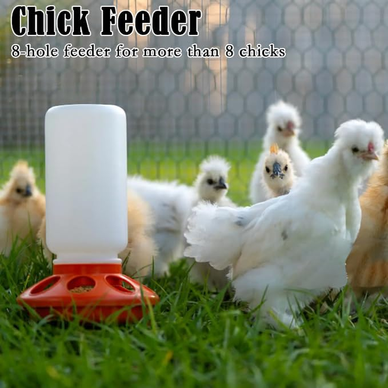 Poultry Feeding & Watering System with Comfort Perch, Durable Plastic Combo for Chicks/Ducks/Quail | Auto-Dispensing Troughs & Anti-Drown Design image number 3