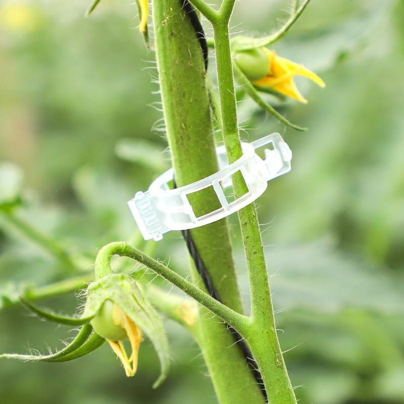100 PCS Plant Support Clips, Tomato Clips, Garden Clips to Grow Upright Makes Plants Healthier, Plant Ties for Tomato Cucumber Flower Squash Vine, Plant Clip for Support,Tomato Vine image number 5