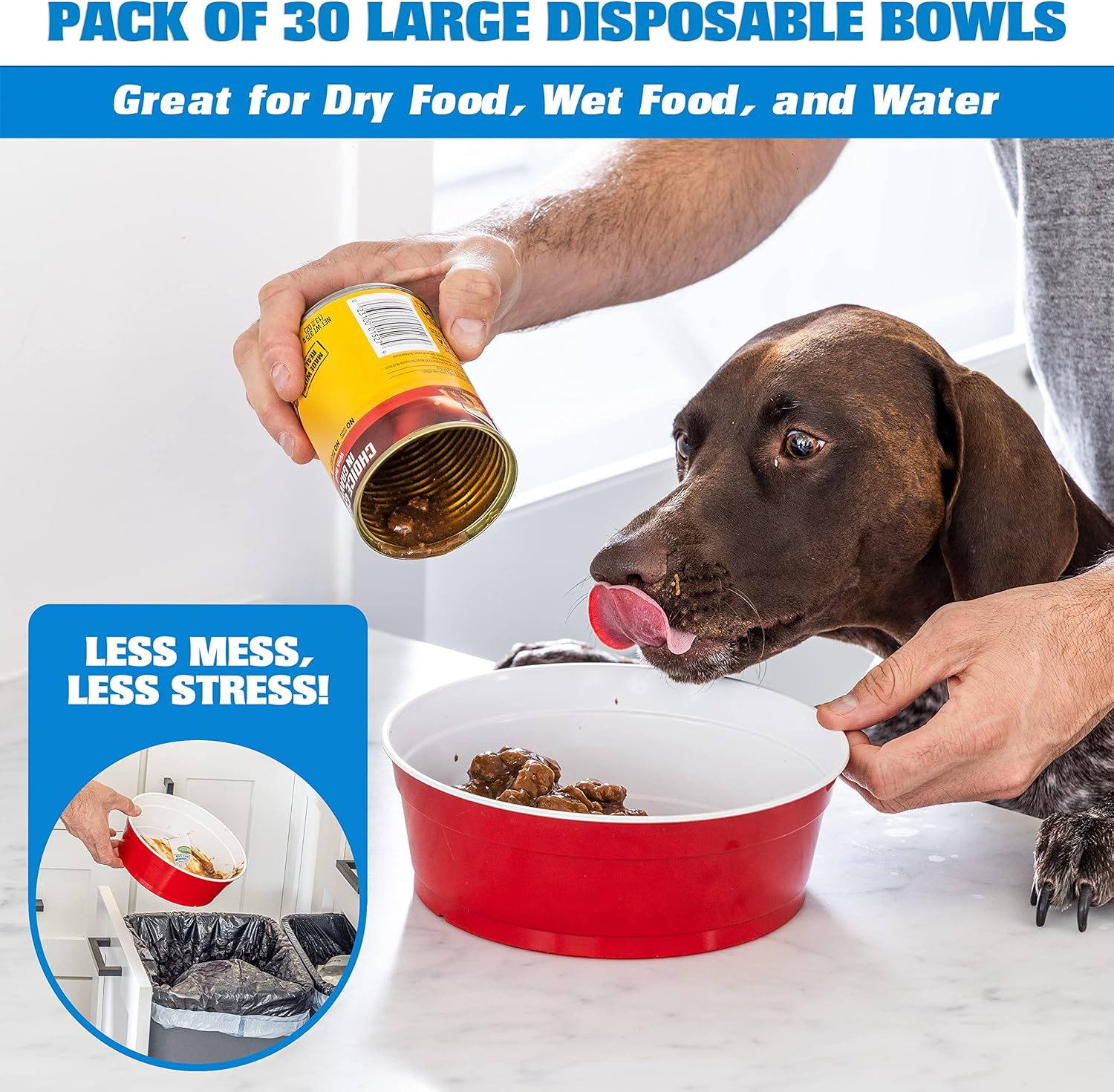 Party Dog Disposable Red Cup Style Pet Food Bowls for Cats and Dogs - Large and Small Sizes