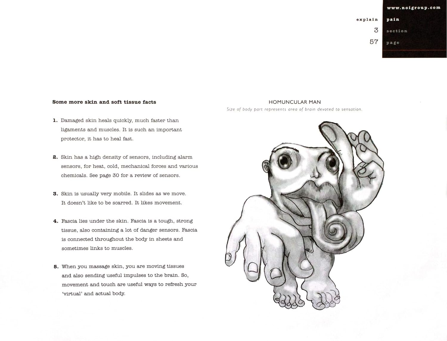 Explain Pain (8311) image number 4