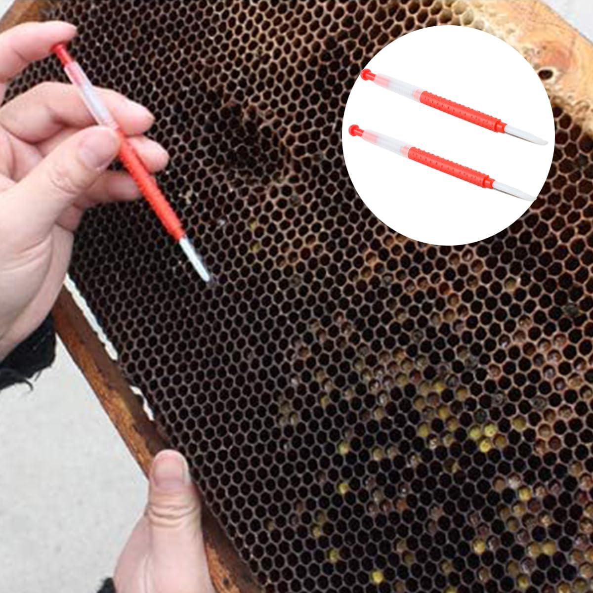 10 PCS Queen Bee Grafting Tool,Beekeeping Grafting Tool, for Queen Rearing and Beekeeping Tools