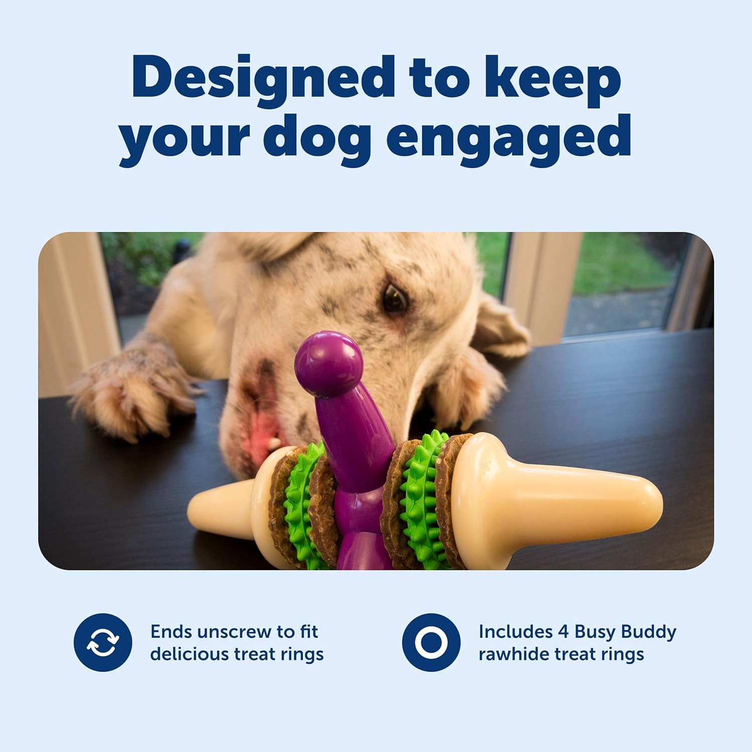 Petsafe Busy Buddy Jack Dog Toy image number 3