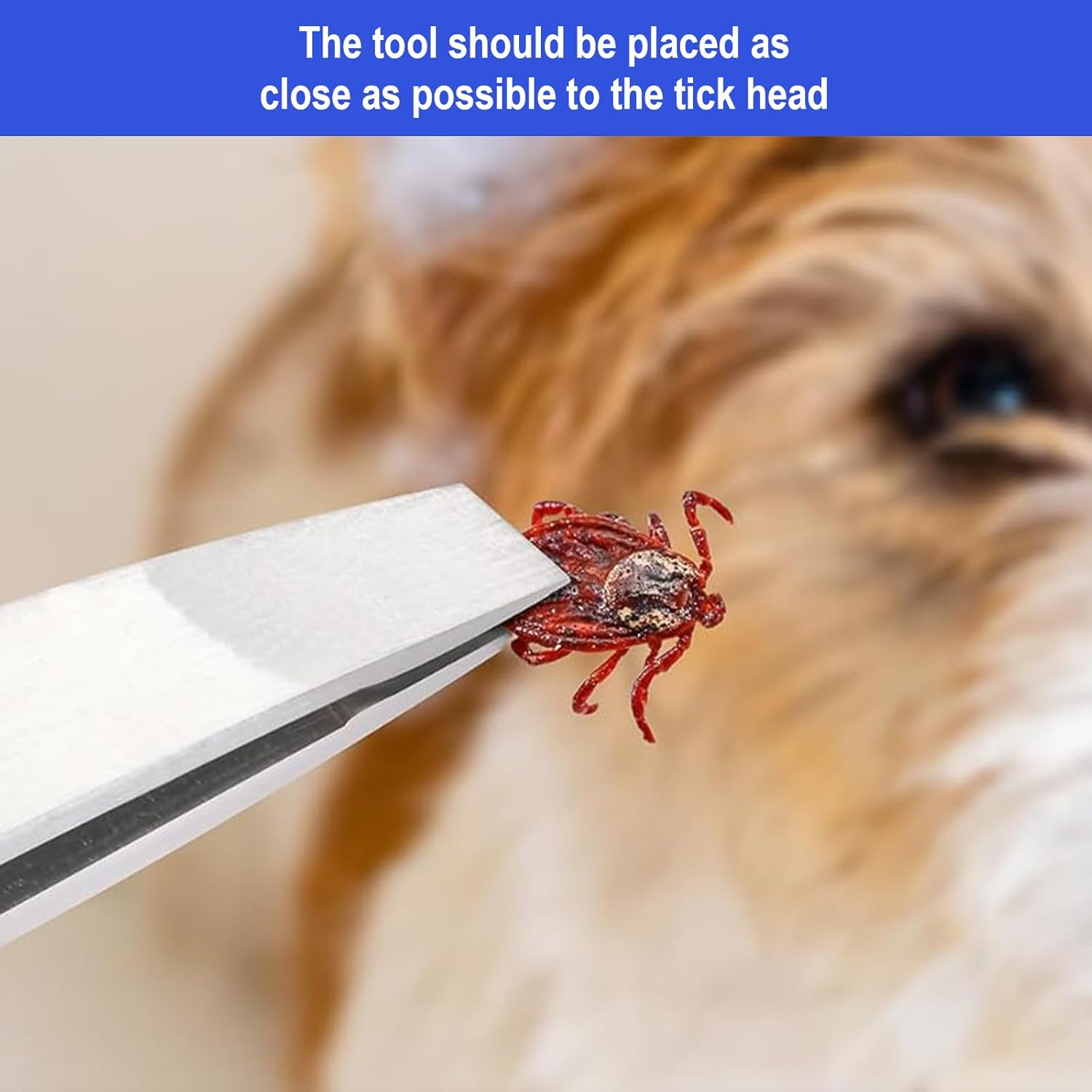 Duoleimi Tick Tweezers Set for Dogs, Cats, Humans, 5 Tick Pliers with Tick Hooks, Metal Pliers and Tick Tweezers, Safe Tick Remover for Children and Pets image number 2