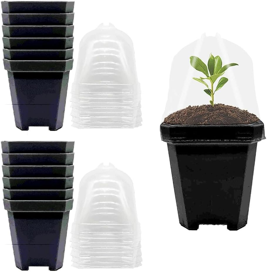 Sagasave 12 Sets Plants Nursery Pot, 15.5Cm Plastic Square Nursery Flower Pots with Humidity Dome and Tray, Small Flower Plant Container for Seedlings, Cuttings, Transplanting (Transparent)