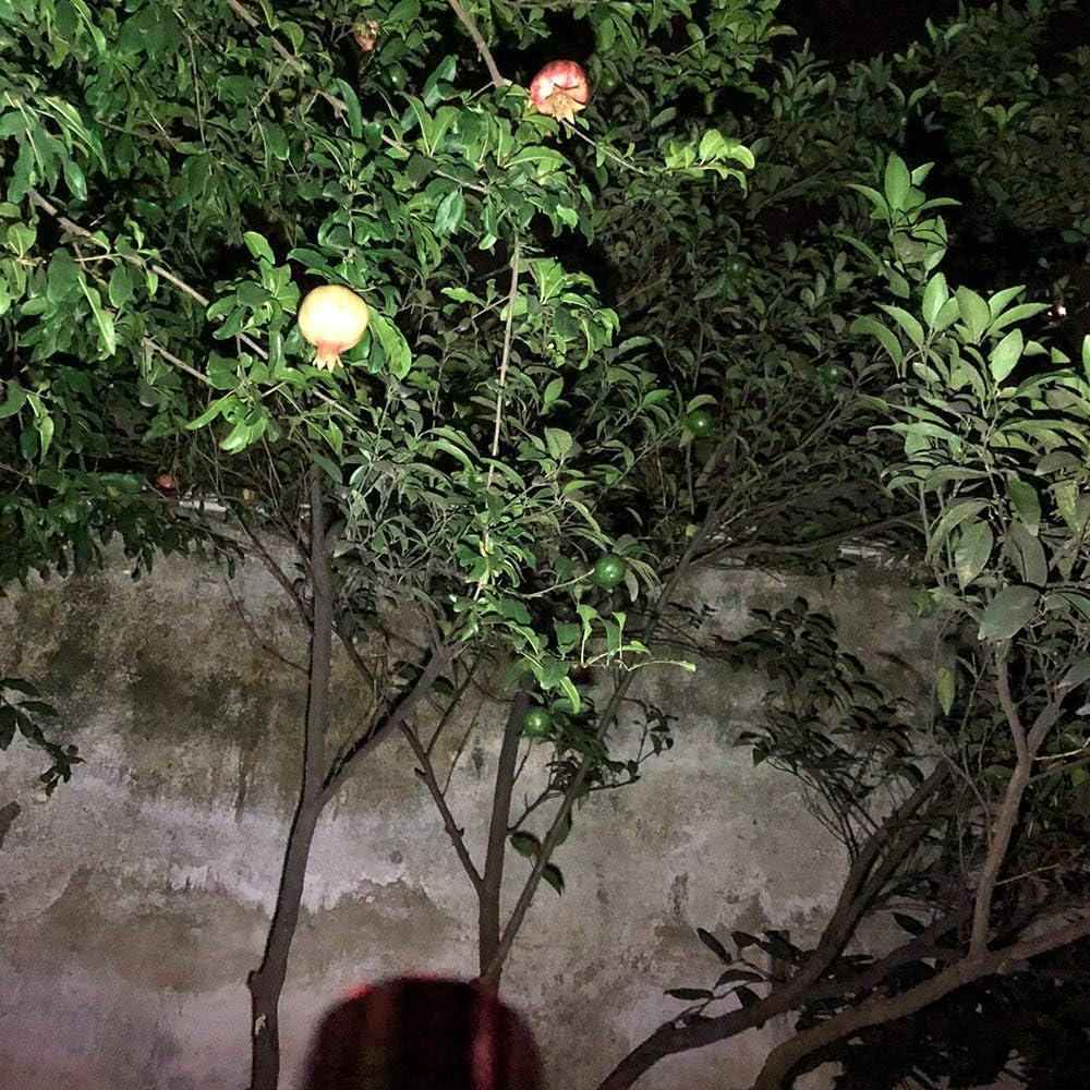 Whaply Small Mini Flashlights Pack of 6,Assorted Colors,New Type Cob Light,With 18 AAA Battery (6 Pack) image number 1