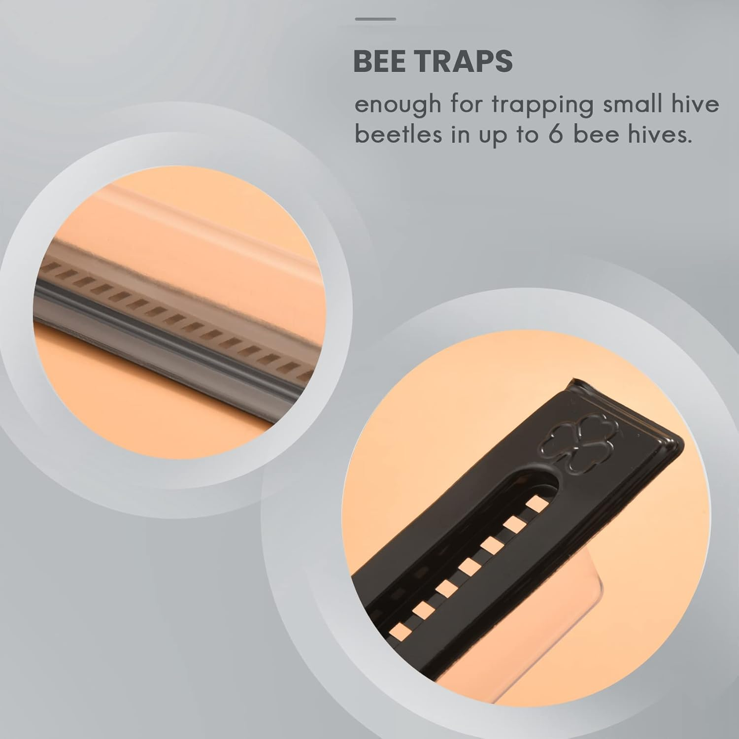 12 Pack - Traps for Naturally Catching Small Hive Beetles Bee Hives without the Use of Any Chemicals Or image number 3