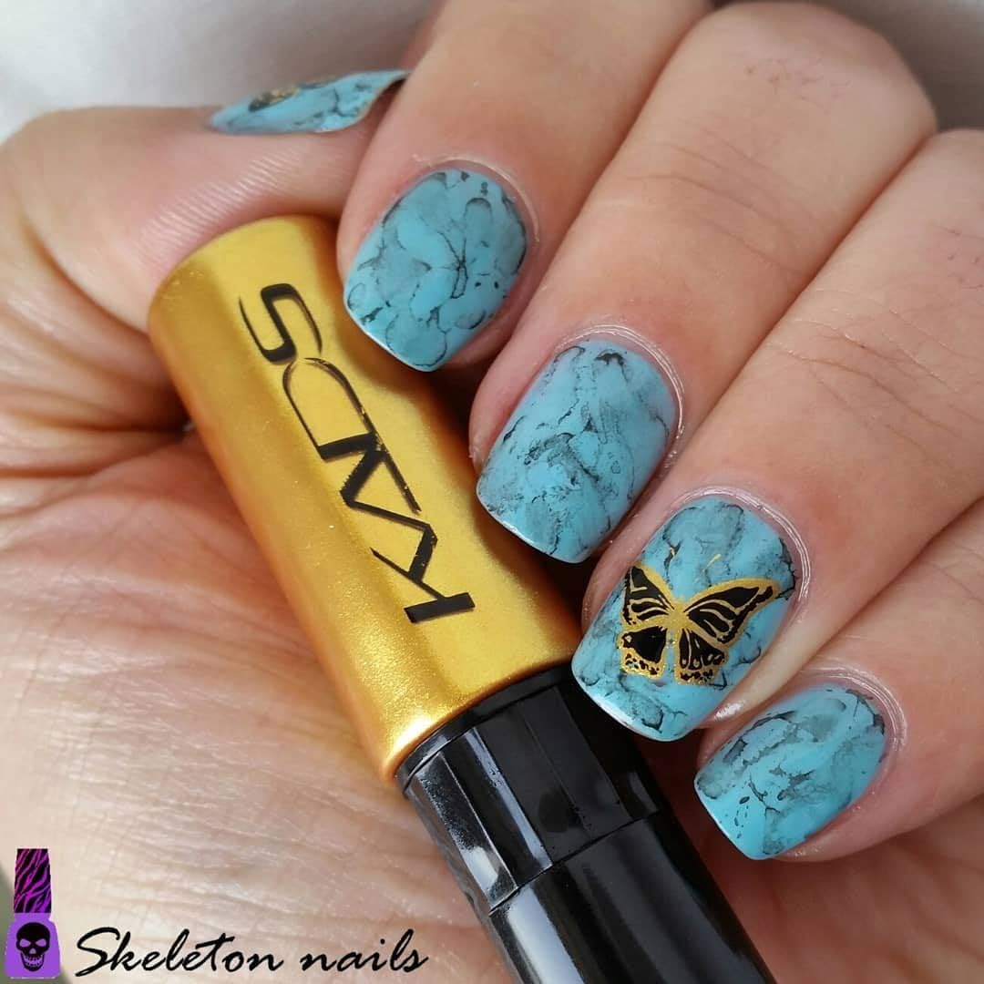 Alexnailart Nail Stamping Plate Butterfly Nail Art Stamp Template DIY Image Template Manicure Stamping Plate Stencil Tools (NA001)