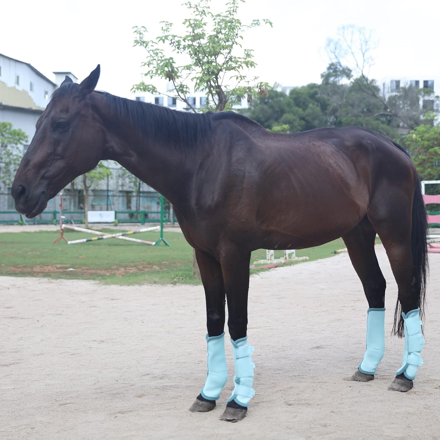 Fly Boots for Horses Set of 4, Breathable Comfy Mesh Horse Leggings Reduce Stomping, Hoof Stress, and Leg Fatigue Skyblue Pony image number 4