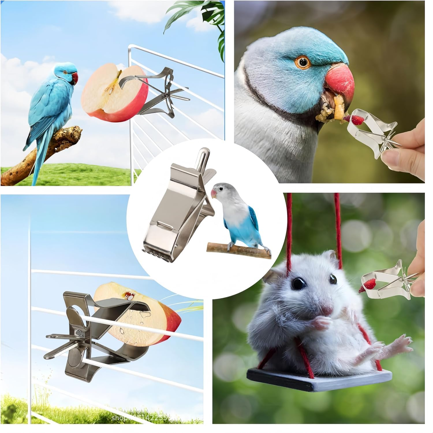Stainless Steel Parrot Food Clips, 6 Pieces Stainless Steel Parrot Fruit and Vegetable Clips,Stainless Steel Feeder Bird Fruit Vegetable Clamps image number 5