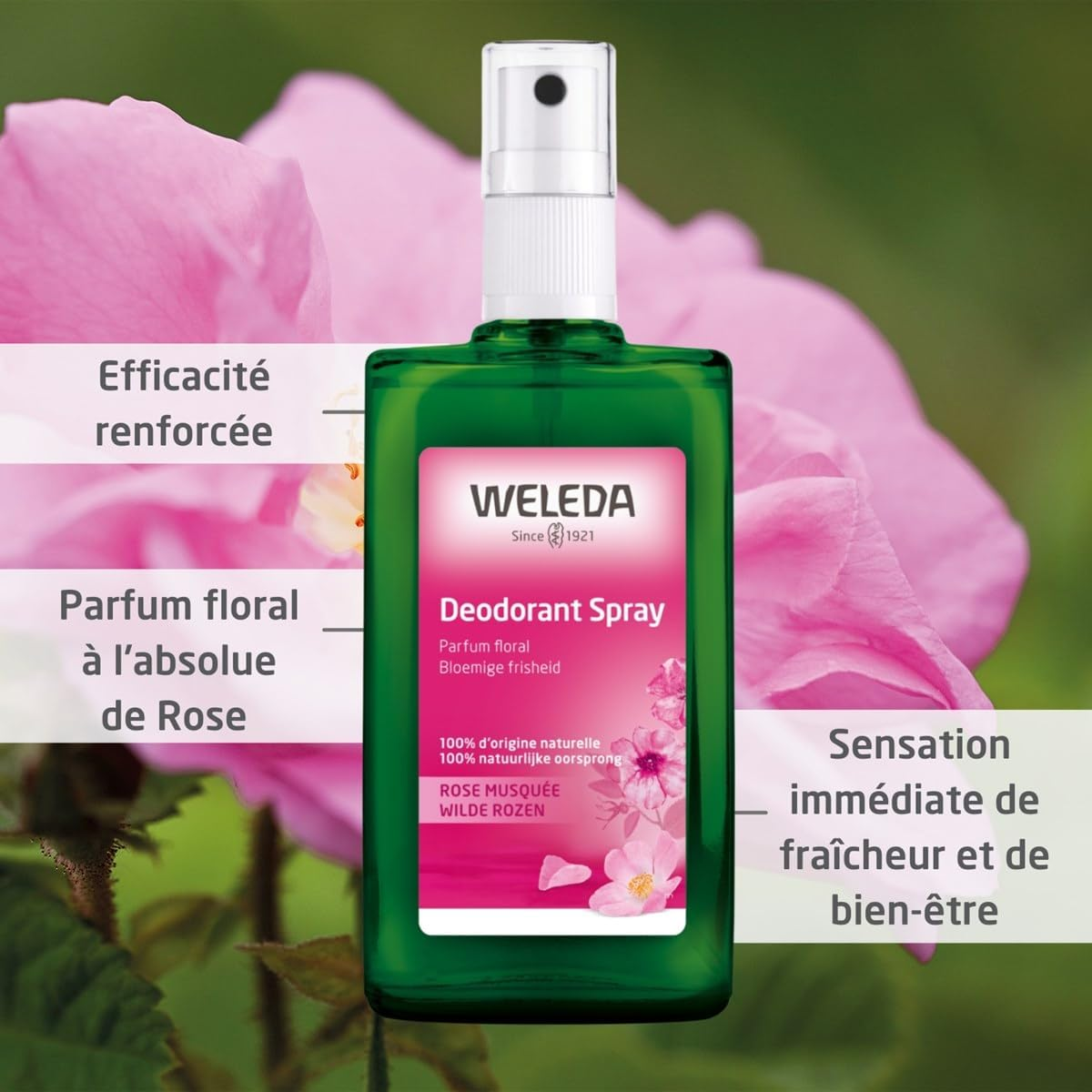 WELEDA Deodorant, Wild Rose, 100 Ml