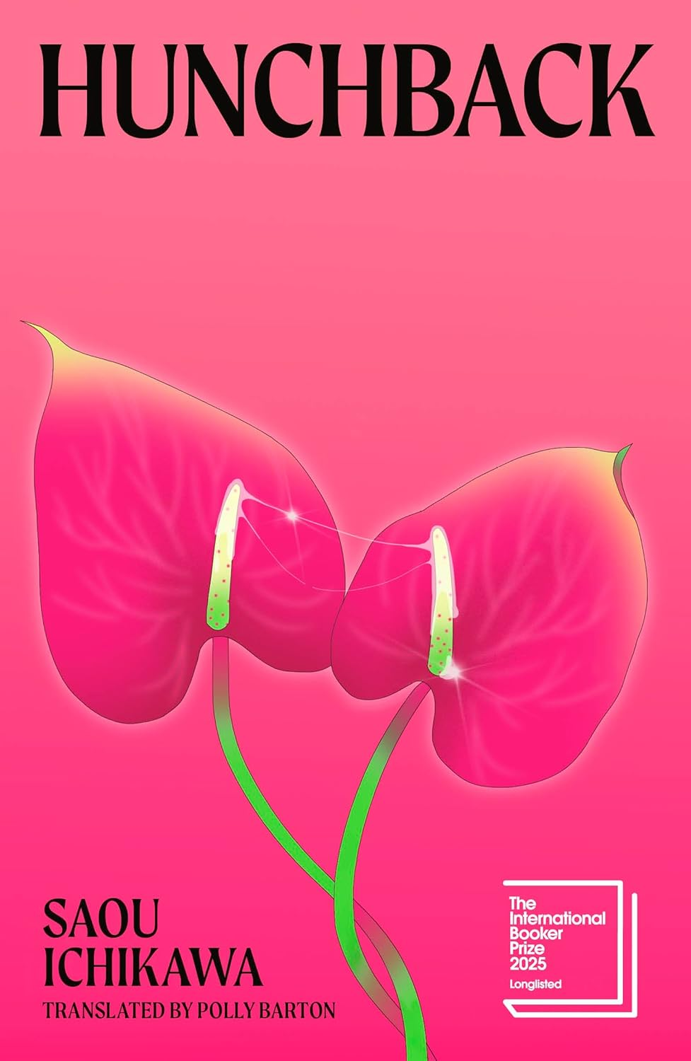 Hunchback: Longlisted for the International Booker Prize 2025 image number 6