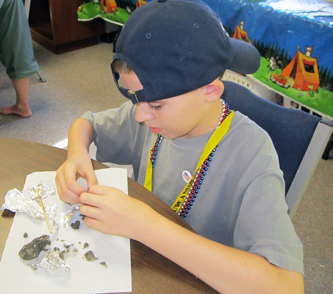 Extra Large Barn Owl Pellets, Pack of 15, with Bone Sorting Sheet image number 1