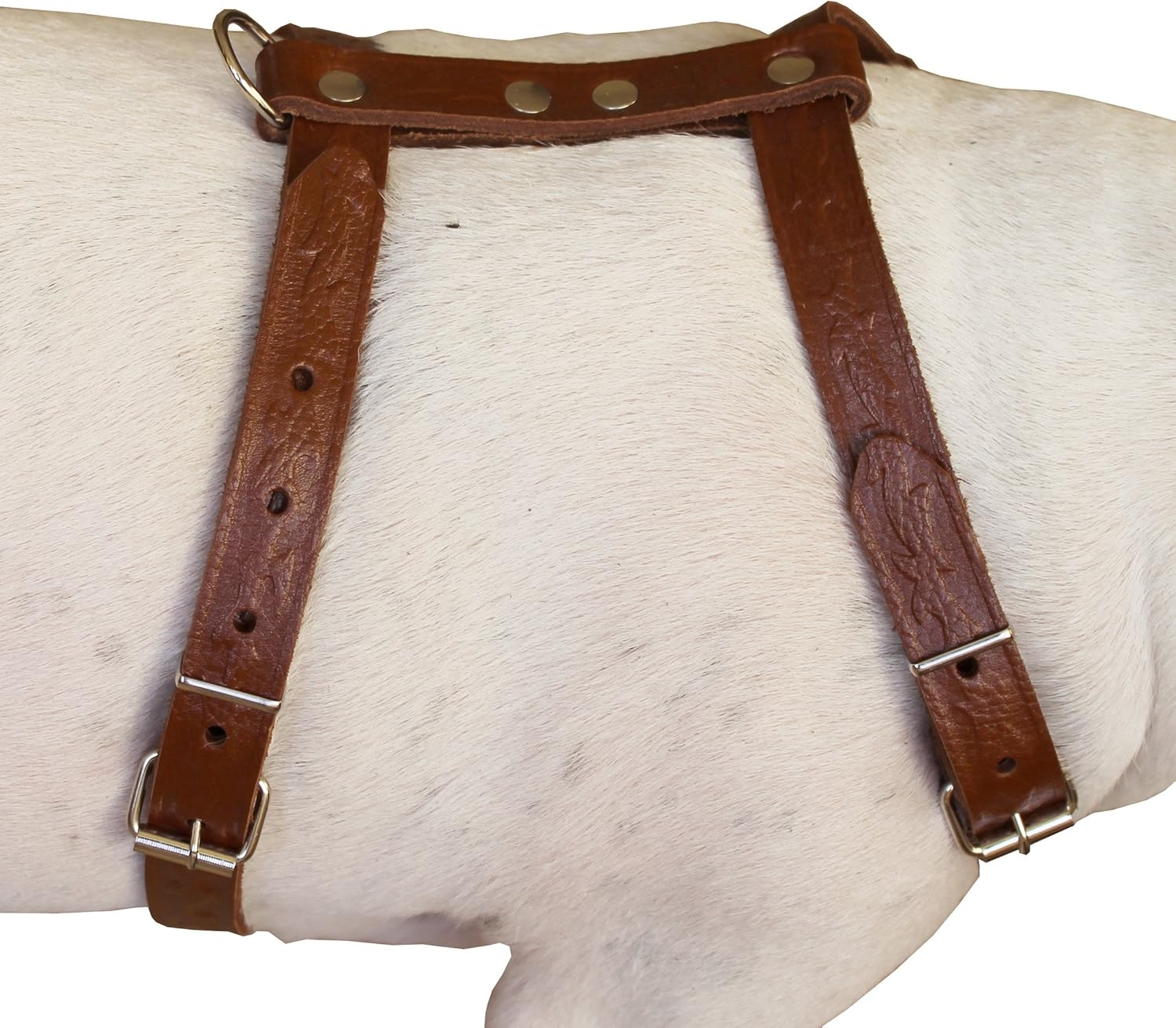 Genuine Tooled Leather Dog Harness Medium. 22"-30" Chest, 3/4" Wide Straps, Boston Terrier