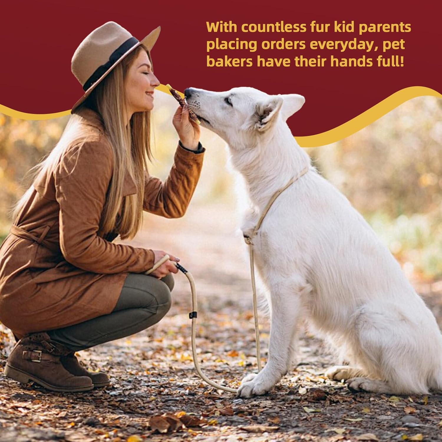 Dog Treats, Marbling Beef Dog Rawhide Sticks, Made with Fresh Beef, Clean Teeth Naturally While Chewing, 350G image number 4