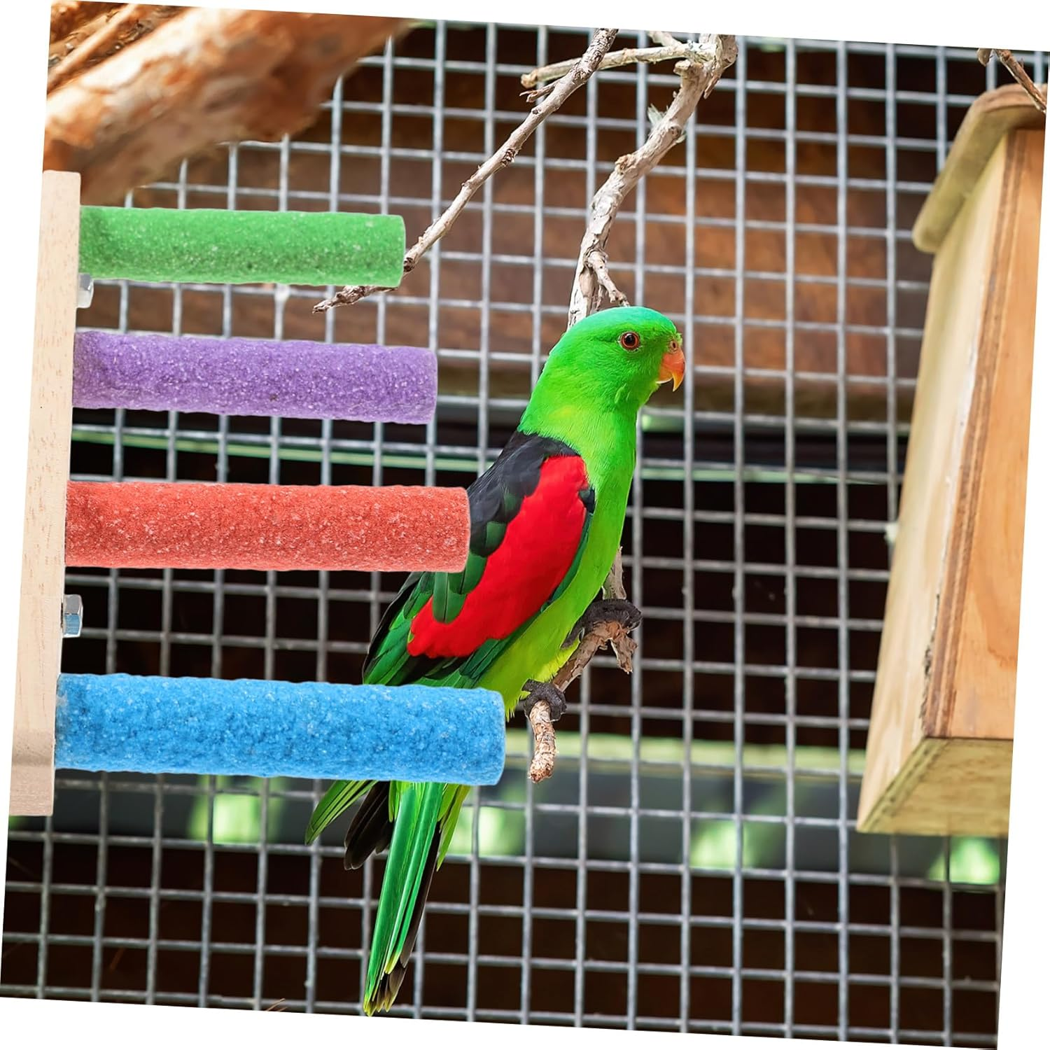 Milisten Parrot Climbing Ladder and Claw Grinding Perch Stand, Bite-Resistant Wood Plaything with Four-Section Ladder, Bird Cage Accessory for Budgerigars and Small Parrots, Indoor Playground Toy image number 1