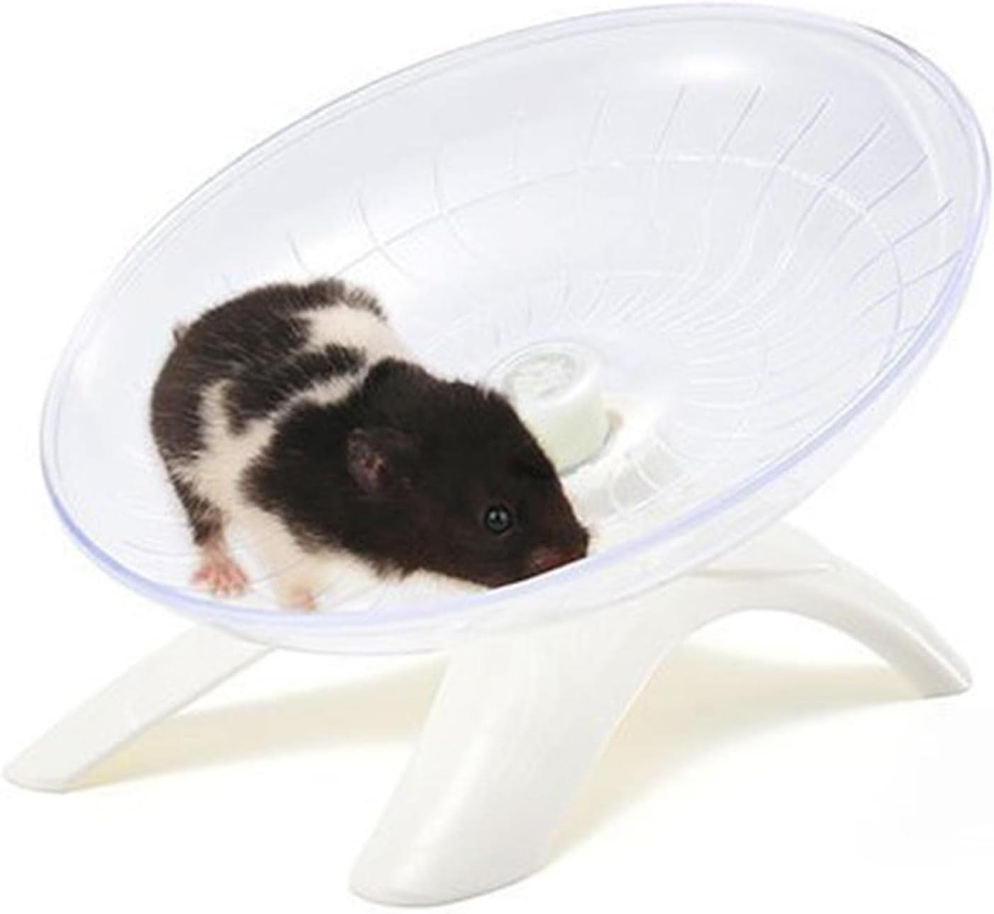 Dolity 7 Inch round Mute Hamster Running Spinner Disc Exercise Wheel Mouse Rat Small Pet Toy Pets Supplies Training - White image number 6