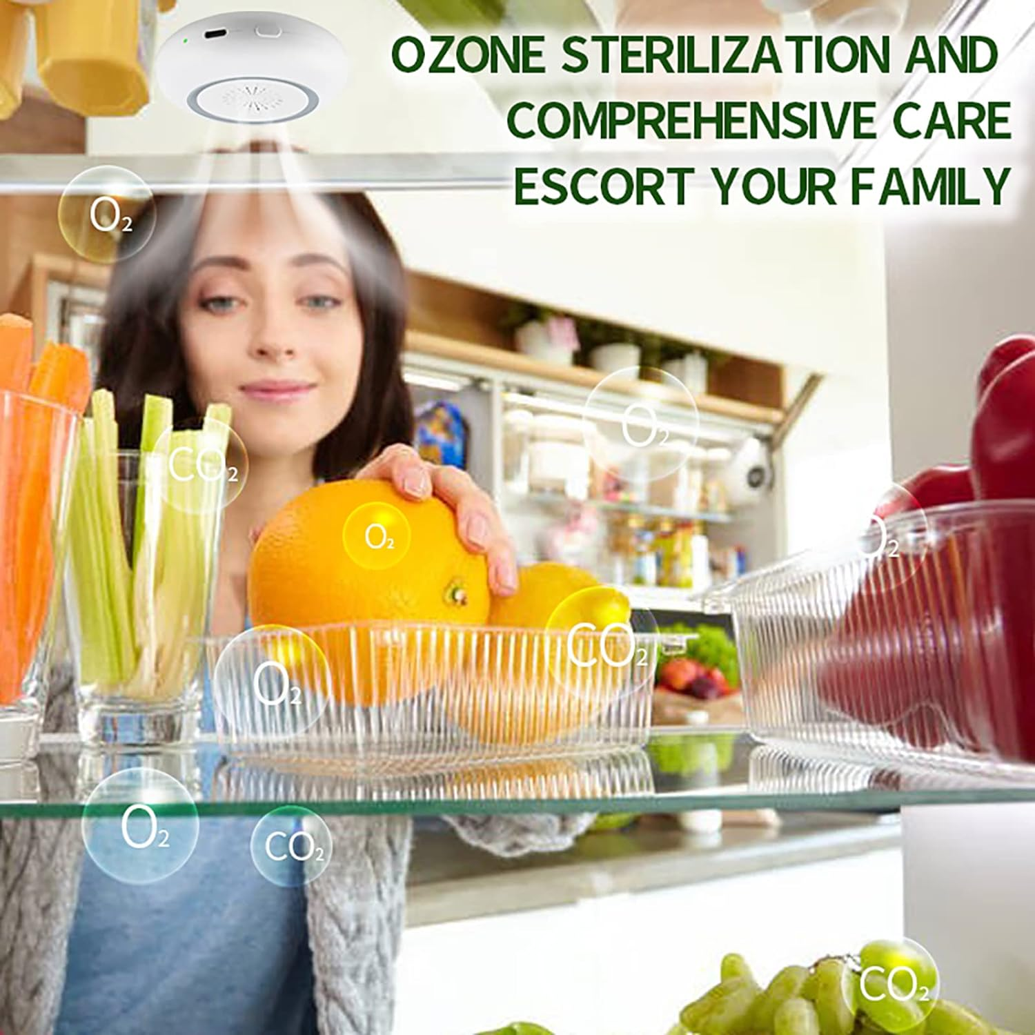 Roseflower Mini Cat Litter Deodorizer, USB Powered Pet Odor Eliminator Machine, Car Odor Eliminator Machine, Rechargeable Refrigerator Smell Remover, Unscented Dust-Free, Travel-Size Air Purifiers